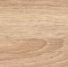 Beach Wood