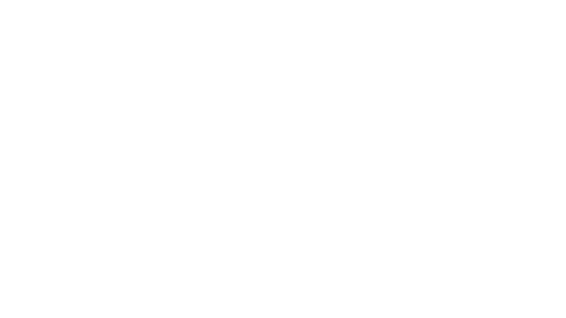 Sealskin